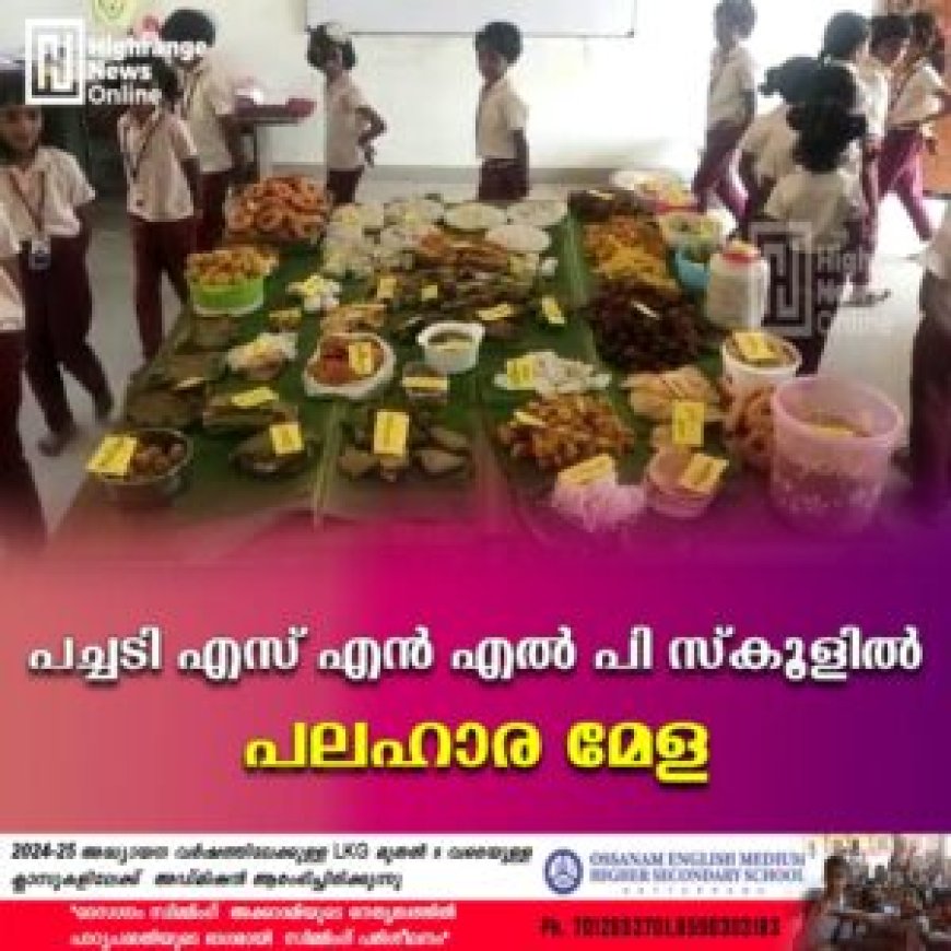 പച്ചടി എസ് എന്‍ എല്‍ പി സ്‌കൂളില്‍ പലഹാര മേള