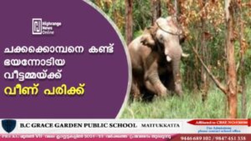 ചക്കക്കൊമ്പനെ കണ്ട് ഭയന്നോടിയ വീട്ടമ്മയ്ക്ക് വീണ് പരിക്ക്
