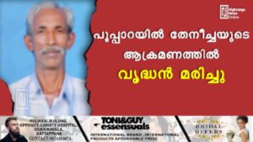 പൂപ്പാറയിൽ തേനീച്ചയുടെ ആക്രമണത്തിൽ വൃദ്ധൻ മരിച്ചു