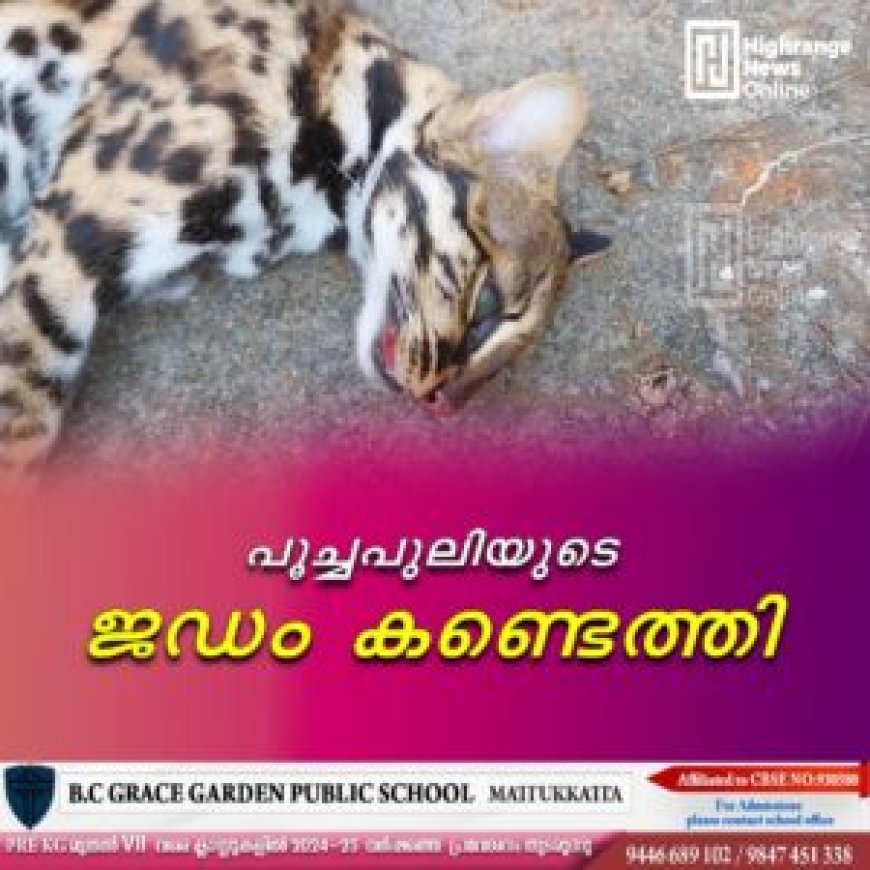 പൂച്ചപ്പുലിയുടെ ജഡം കണ്ടെത്തി