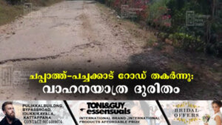 ചപ്പാത്ത് -പച്ചക്കാട് റോഡ് തകര്ന്നു: വാഹനയാത്ര ദുരിതം