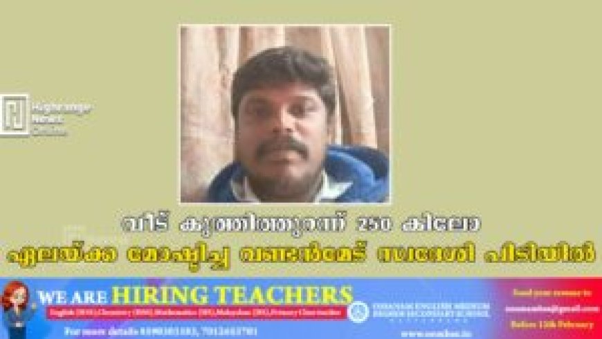 വീട് കുത്തിത്തുറന്ന് 250 കിലോ ഏലയ്ക്ക മോഷ്ടിച്ച വണ്ടന്മേട് സ്വദേശി പിടിയില്