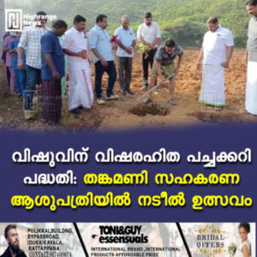 വിഷുവിന് വിഷരഹിത പച്ചക്കറി പദ്ധതി: തങ്കമണി സഹകരണ ആശുപത്രിയില് നടീല് ഉത്സവം
