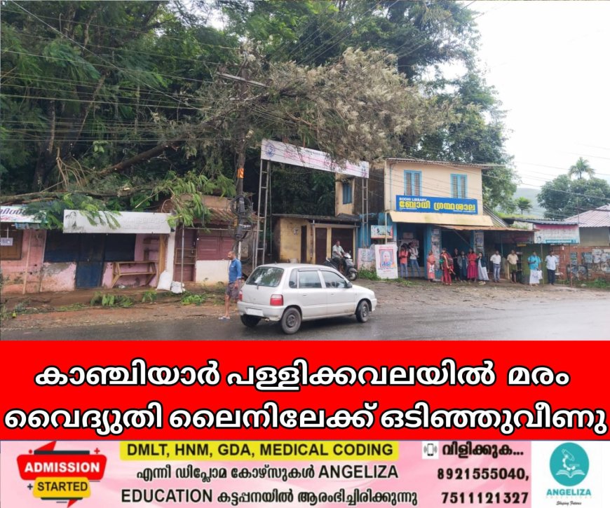 കാഞ്ചിയാർ പള്ളിക്കവലയിൽ   മരം വൈദ്യുതി ലൈനിലേക്ക് ഒടിഞ്ഞുവീണു 