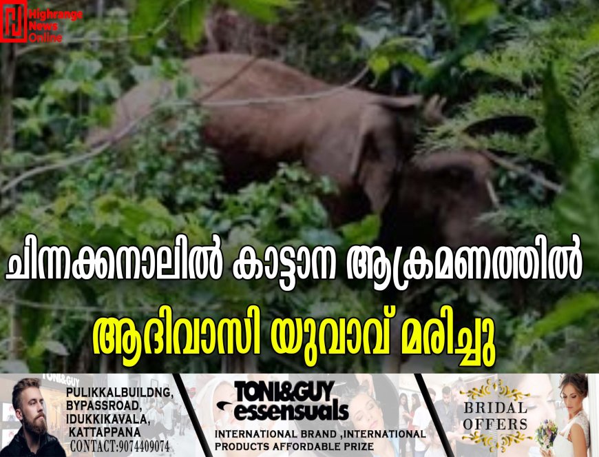 ചിന്നക്കനാലില്‍ കാട്ടാന ആക്രമണത്തില്‍ ആദിവാസി യുവാവ് മരിച്ചു