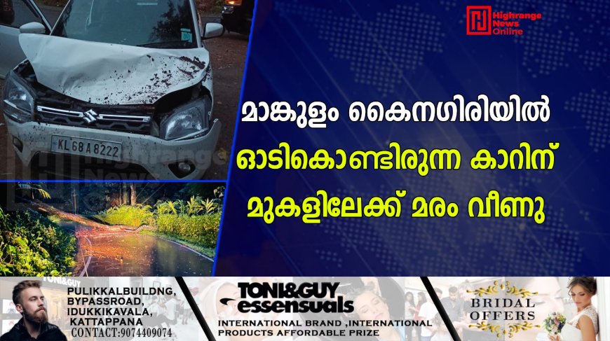 മാങ്കുളം കൈനഗിരിയില് ഓടികൊണ്ടിരുന്ന കാറിന് മുകളിലേക്ക് മരം വീണു