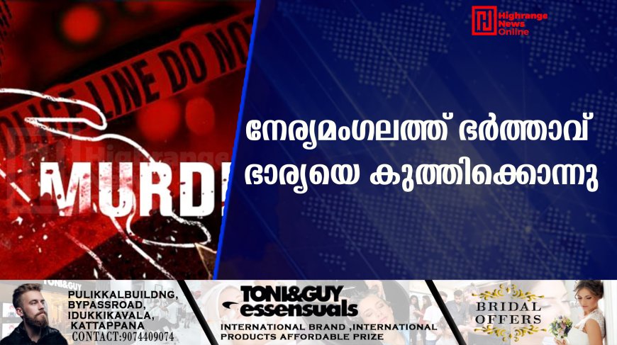 നേര്യമംഗലത്ത് ഭർത്താവ് ഭാര്യയെ കുത്തിക്കൊന്നു