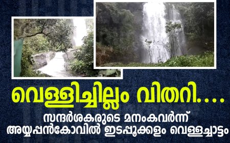 വെള്ളിച്ചില്ലം വിതറി.... സന്ദര്‍ശകരുടെ മനംകവര്‍ന്ന് അയ്യപ്പന്‍കോവില്‍ ഇടപ്പൂക്കളം വെള്ളച്ചാട്ടം