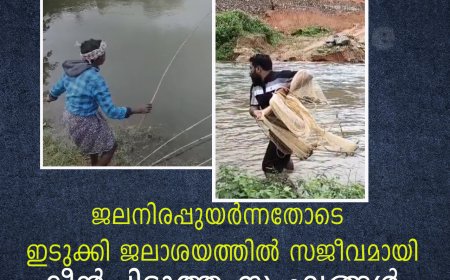 ജലനിരപ്പുയര്‍ന്നതോടെ ഇടുക്കി ജലാശയത്തില്‍ സജീവമായി മീന്‍പിടുത്ത സംഘങ്ങള്‍ 
