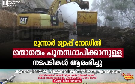 മൂന്നാര്‍ ഗ്യാപ്പ് റോഡില്‍ ഗതാഗതം പുനസ്ഥാപിക്കാനുള്ള നടപടികള്‍ ആരംഭിച്ചു
