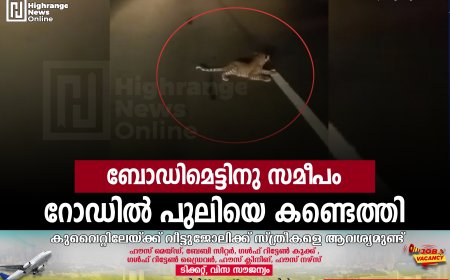 ബോഡിമെട്ടിനു സമീപം റോഡിൽ പുലിയെ കണ്ടെത്തി