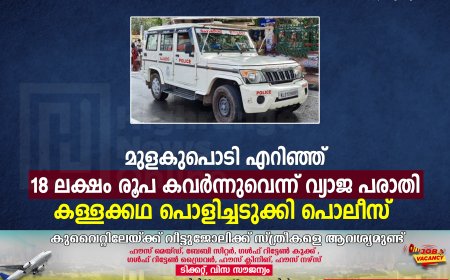 മുളകുപൊടി എറിഞ്ഞ് 18 ലക്ഷം രൂപ കവര്‍ന്നുവെന്ന് വ്യാജ പരാതി: കള്ളക്കഥ പൊളിച്ചടുക്കി പൊലീസ്: 