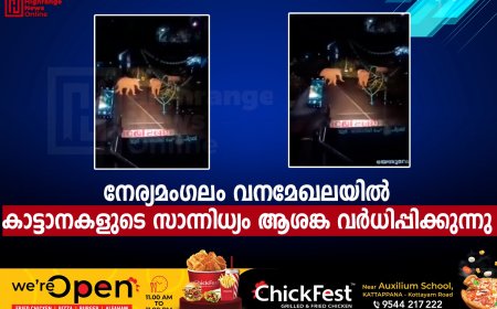 നേര്യമംഗലം വനമേഖലയില്‍ കാട്ടാനകളുടെ സാന്നിധ്യം ആശങ്ക വര്‍ധിപ്പിക്കുന്നു