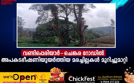 വണ്ടിപ്പെരിയാര്‍-ചെങ്കര റോഡില്‍ അപകടഭീഷണിയുയര്‍ത്തിയ മരച്ചില്ലകള്‍ മുറിച്ചുമാറ്റി