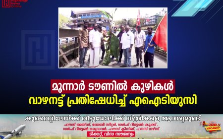മൂന്നാര്‍ ടൗണില്‍ കുഴികള്‍: വാഴനട്ട് പ്രതിഷേധിച്ച് എഐടിയുസി