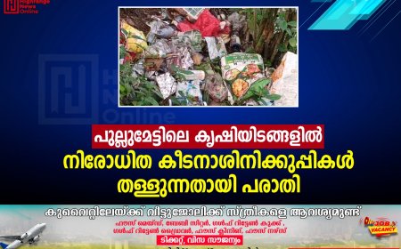 പുല്ലുമേട്ടിലെ കൃഷിയിടങ്ങളില്‍ നിരോധിത കീടനാശിനിക്കുപ്പികള്‍ തള്ളുന്നതായി പരാതി