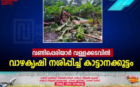വണ്ടിപ്പെരിയാര്‍ വള്ളക്കടവില്‍ വാഴകൃഷി നശിപ്പിച്ച് കാട്ടാനക്കൂട്ടം 