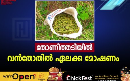 തോണിത്തടിയില്‍ വന്‍തോതില്‍ ഏലക്ക മോഷണം 