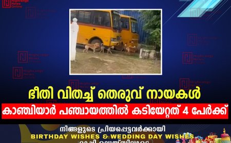 ഭീതി വിതച്ച് തെരുവ് നായകള്‍: കാഞ്ചിയാര്‍ പഞ്ചായത്തില്‍ കടിയേറ്റത് 4 പേര്‍ക്ക്