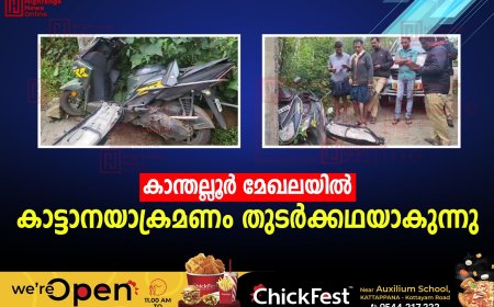 കാന്തല്ലൂര്‍ മേഖലയില്‍ കാട്ടാനയാക്രമണം തുടര്‍ക്കഥയാകുന്നു
