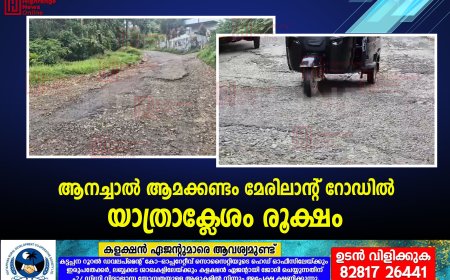 ആനച്ചാല്‍ ആമക്കണ്ടം മേരിലാന്റ് റോഡില്‍ യാത്രാക്ലേശം രൂക്ഷം 