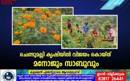 ചെണ്ടുമല്ലി കൃഷിയില്‍ വിജയം കൊയ്ത് മനോജും സാബുവും