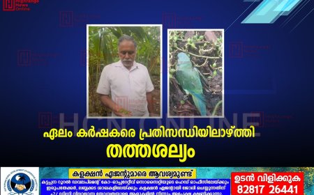 ഏലം കര്‍ഷകരെ പ്രതിസന്ധിയിലാഴ്ത്തി തത്തശല്യം
