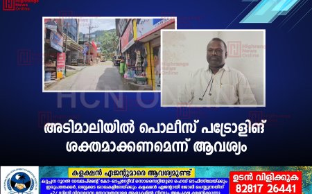 അടിമാലിയില്‍ പൊലീസ് പട്രോളിങ് ശക്തമാക്കണമെന്ന് ആവശ്യം