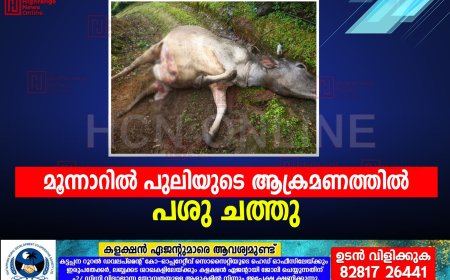 മൂന്നാറില്‍ പുലിയുടെ ആക്രമണത്തില്‍ പശു ചത്തു