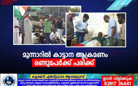 മൂന്നാറില്‍ കാട്ടാന ആക്രമണം:    രണ്ടുപേര്‍ക്ക് പരിക്ക് 