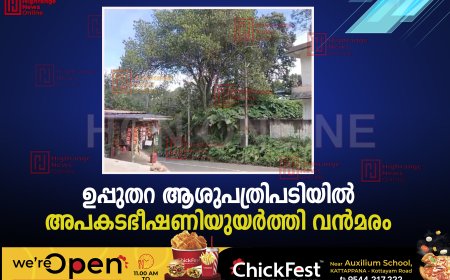 ഉപ്പുതറ ആശുപത്രിപടിയില്‍ അപകടഭീഷണിയുയര്‍ത്തി വന്‍മരം 