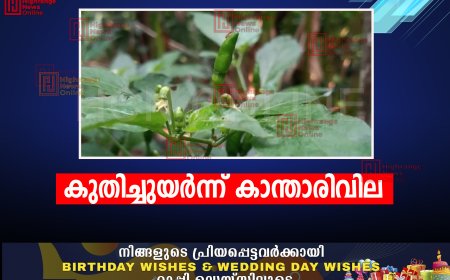 കുതിച്ചുയര്‍ന്ന് കാന്താരിവില