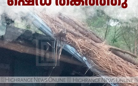 ചിന്നക്കനാലില്‍ ചക്കക്കൊമ്പന്റെ ആക്രമണം: ഷെഡ് തകര്‍ത്തു