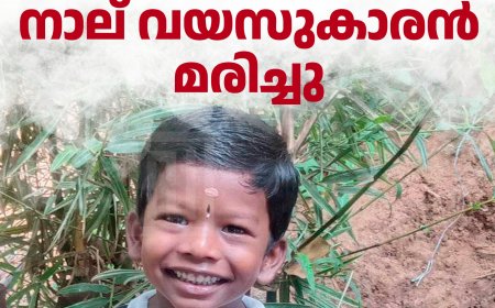 ഇരട്ടയാറില്‍ വാഹനാപകടം: നാല് വയസുകാരന്‍ മരിച്ചു