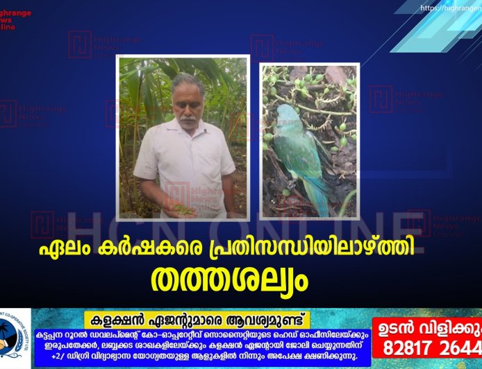 ഏലം കര്‍ഷകരെ പ്രതിസന്ധിയിലാഴ്ത്തി തത്തശല്യം