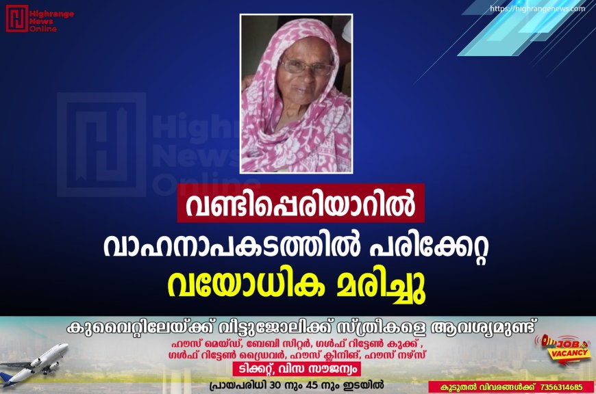 വണ്ടിപ്പെരിയാറില് വാഹനാപകടത്തില് പരിക്കേറ്റ വയോധിക മരിച്ചു