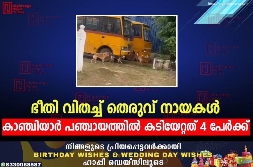 ഭീതി വിതച്ച് തെരുവ് നായകള്: കാഞ്ചിയാര് പഞ്ചായത്തില് കടിയേറ്റത് 4 പേര്ക്ക്