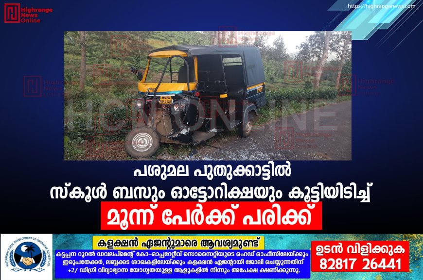 പശുമല പുതുക്കാട്ടില് സ്കൂള് ബസും ഓട്ടോറിക്ഷയും കൂട്ടിയിടിച്ച് മൂന്ന് പേര്ക്ക് പരിക്ക്