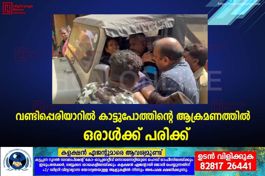 വണ്ടിപ്പെരിയാറില് കാട്ടുപോത്തിന്റെ ആക്രമണത്തില് ഒരാള്ക്ക് പരിക്ക്