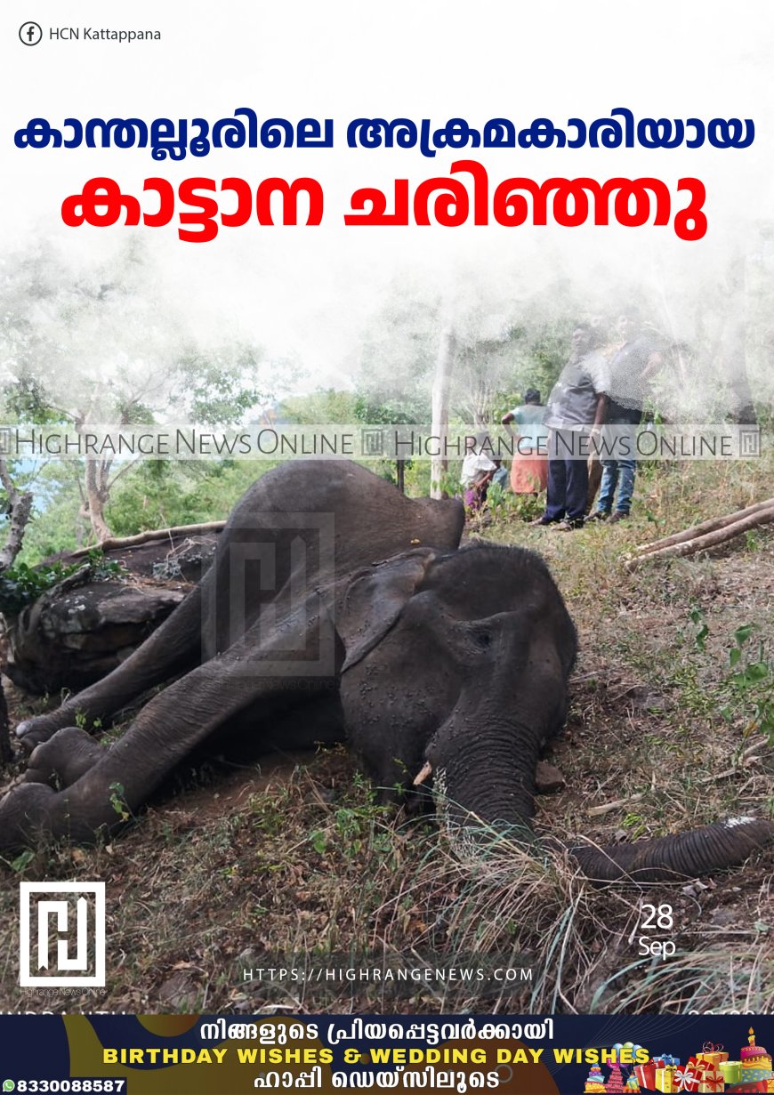കാന്തല്ലൂരിലെ അക്രമകാരിയായ കാട്ടാന ചരിഞ്ഞു