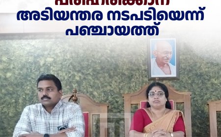 ഇരട്ടയാറിലെ തെരുവ് നായ ശല്യം പരിഹരിക്കാന്‍ അടിയന്തര നടപടിയെന്ന് പഞ്ചായത്ത്