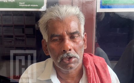 നെടുങ്കണ്ടത്ത് പെരുംതേനീച്ച ആക്രമണം: 15 പേര്‍ക്ക് കുത്തേറ്റു