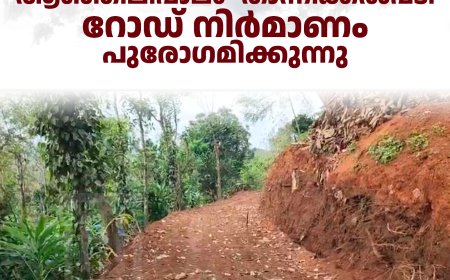 ആഞ്ഞിലിപ്പാലം- താന്നിക്കല്‍പ്പടി റോഡ് നിര്‍മാണം പുരോഗമിക്കുന്നു