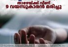 മൂന്നാറില്‍ റിസോര്‍ട്ടിലെ സ്ലൈഡിങ് ജനാല വഴി താഴേയ്ക്ക് വീണ് 9 വയസുകാരന്‍ മരിച്ചു