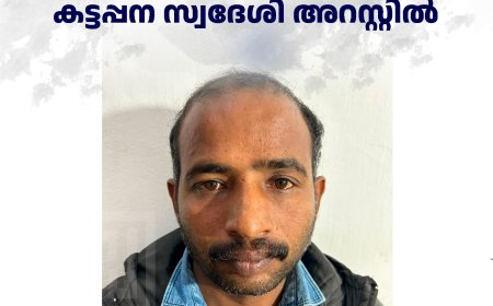 അതിഥി തൊഴിലാളിയെ പീഡിപ്പിച്ച കട്ടപ്പന സ്വദേശി അറസ്റ്റില്‍