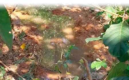 കട്ടപ്പന പുതിയ ബസ് സ്റ്റാന്‍ഡിന് സമീപം സ്വകാര്യവ്യക്തി തോട് നികത്തിയതായി പരാതി  