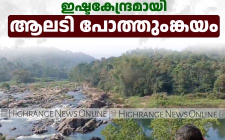  വിനോദസഞ്ചാരികളുടെ ഇഷ്ടകേന്ദ്രമായി ആലടി പോത്തുംങ്കയം 