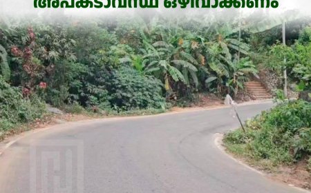 വെള്ളത്തൂവല്‍- ആനച്ചാല്‍ റോഡിലെ അപകടാവസ്ഥ ഒഴിവാക്കണം 