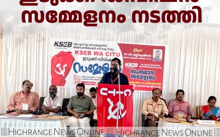 കെഎസ്ഇബി വര്‍ക്കേഴ്സ് അസോസിയേഷന്‍ ഇടുക്കി ഡിവിഷന്‍ സമ്മേളനം നടത്തി