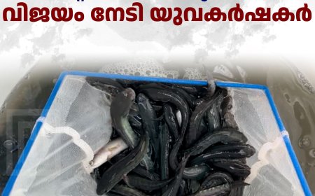 വിയറ്റ്നാം വരാല് കൃഷിയില് വിജയം നേടി യുവകര്ഷകര്